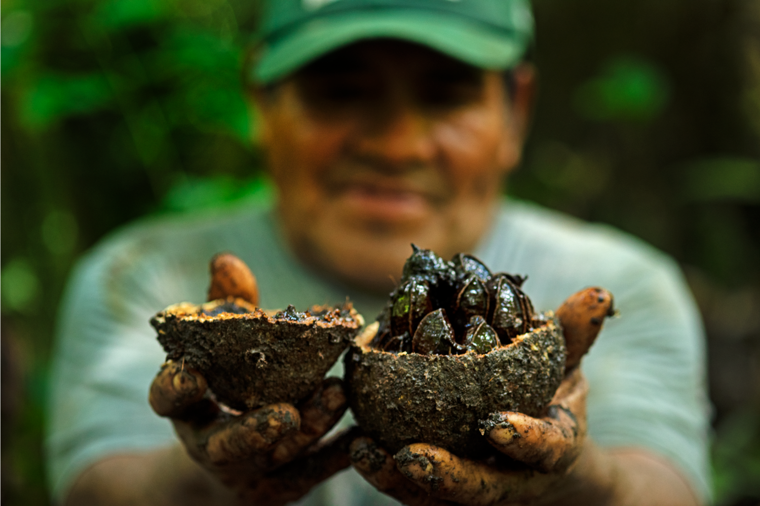 REDD+ Castañeros: conservando los bosques de castaña de Madre de Dios – BAM
