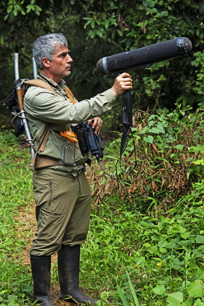 Scinax pyroinguinis new frog species for science found in BAM’s