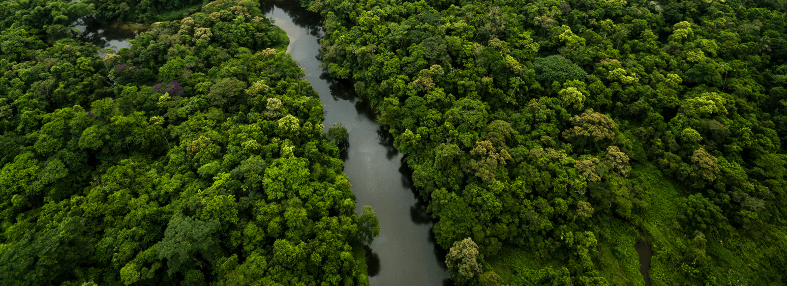 REDD+ The Last Habitat, Ucayali