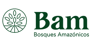 Bosques Amazónicos (BAM)